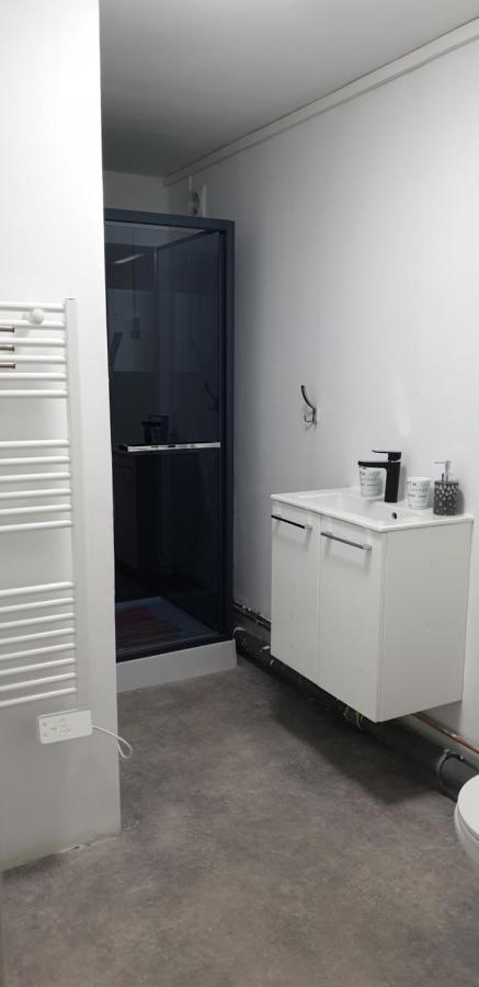 Studio, Chambres, Appartement, Gite Vendegies-sur-Ecaillon Kültér fotó